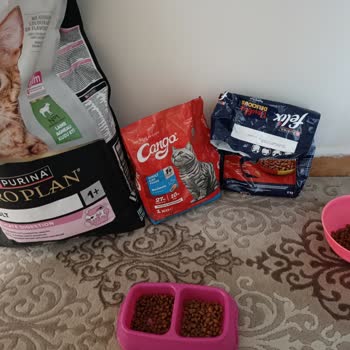 Kediler Nestle Cat Chow Yiyemedi Satıcı İade Reddetti Müşteri Hizmetleri Cevap Vermedi