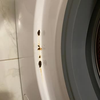 Vestel Çamaşır Makinesinde Boya Atması Ve Paslanma Nedeniyle Ücretsiz Onarım Talebi