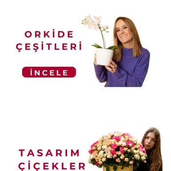 Eki aç