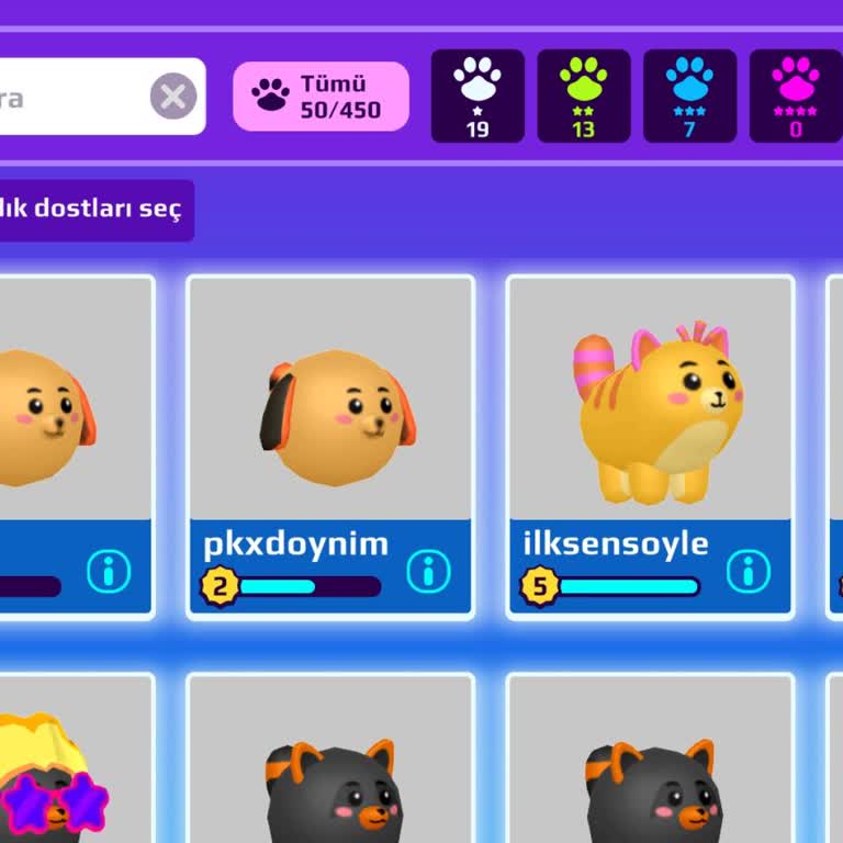 Pet Alanı Açılmıyor, Petler Silinmiş Görünüyor