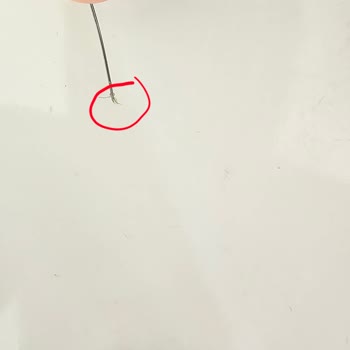 Yer Fıstıklı Bar’da Kıl Bulunması Ve Şirketin Cevapsız Kalması