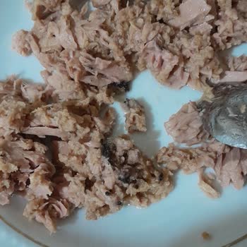 Migros'tan Bozuk Ton Balığı Teslimatı Sağlık Endişesi Yaratıyor