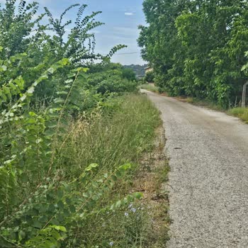 Menderes Belediyesi Dere Kenarında Temizlik Eksikliği Araç ve Yaya Güvenliğini Tehlikeye Atıyor