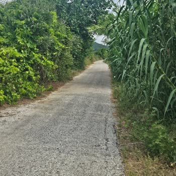 Menderes Belediyesi Dere Kenarında Temizlik Eksikliği Araç ve Yaya Güvenliğini Tehlikeye Atıyor