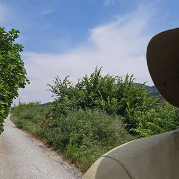 Menderes Belediyesi Dere Kenarında Temizlik Eksikliği Araç ve Yaya Güvenliğini Tehlikeye Atıyor