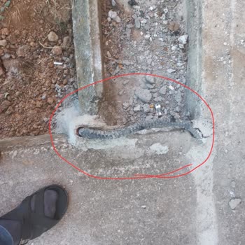 Açıkta Kalan Kablolar Ve Düzensiz Kazı Alanı Güvenlik Tehlikesi