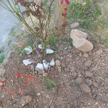 Açıkta Kalan Kablolar Ve Düzensiz Kazı Alanı Güvenlik Tehlikesi