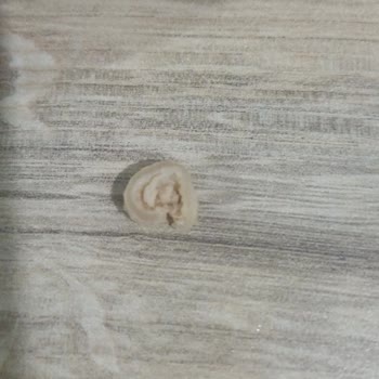 Bonfilet Dana Kıymasında Kemik Ve Organ Parçaları