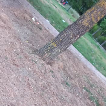 Sevindikli Belediyesi Hijyen ve Güvenlik Açısından Son Derece Bakımsız