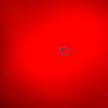 Panelde Sinek Girişi Garanti Dışı Olarak Değerlendirildi