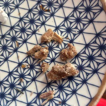 Torku Kavurmasında Yabancı Sinir Ve Kas Parçaları Bulundu
