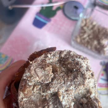 Torku Kavurmasında Yabancı Sinir Ve Kas Parçaları Bulundu