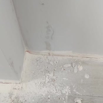 Hane Konut İnşaat Yeni Teslim Edilen Dairede Çatı Sızıntısı, Küf ve Havalandırma Eksikliği Çözülmedi
