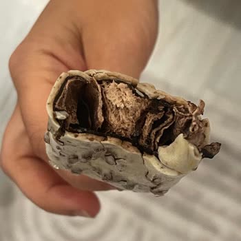 Magnum Mini Dondurmalarda Kalite Sorunu: Çikolata Kırık Ve Tat Bozuk