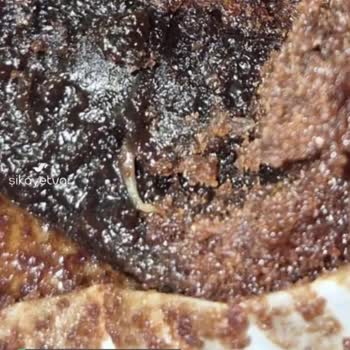 Eti Browni Kekinde Kurt Çıktı