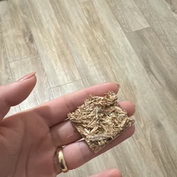 Garanti Kapsamındaki Kırık Calina Baza İçin Yetersiz Ve Gecikmeli Servis