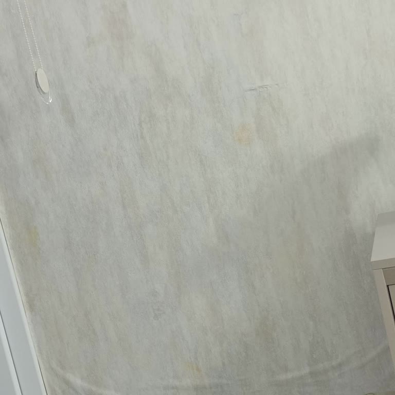 Montaj Hatası Sonrası Duvar Kağıdında Küf Ve Telafi Eksikliği
