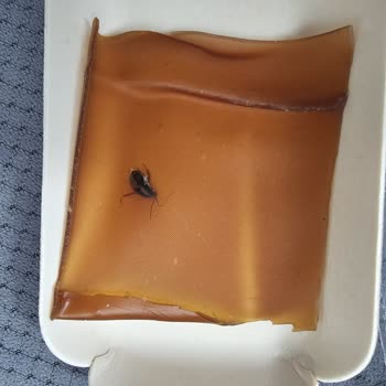 Migros Üzüm Pestilinde Yabancı Madde, Sağlık Riski Ve Cevapsızlık