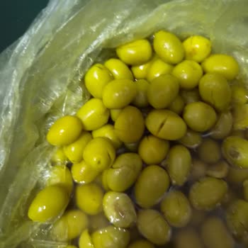 Ayzey Zeytincilik’te Yanıltıcı Zeytin Boyutları Ve Çözüm Eksikliği