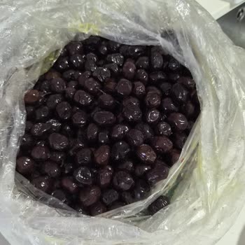 Ayzey Zeytincilik’te Yanıltıcı Zeytin Boyutları Ve Çözüm Eksikliği