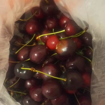 Kiraz Ve Marul Bozuk Geldi, İade Ve Çözüm Bekleniyor