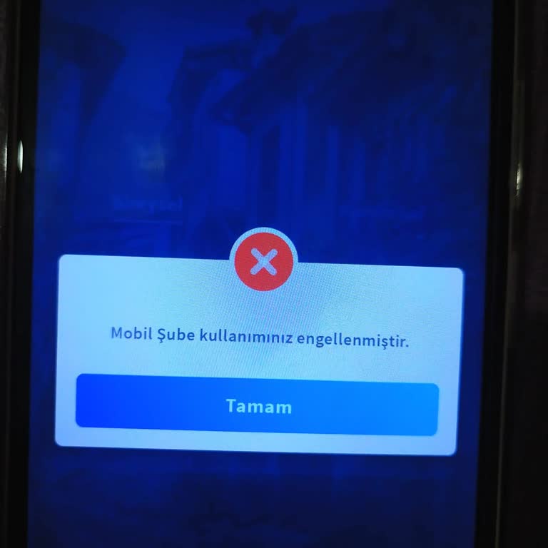Halkbank Kredi Gecikmesi Nedeniyle Mobil Şube Erişimi Engelliyor