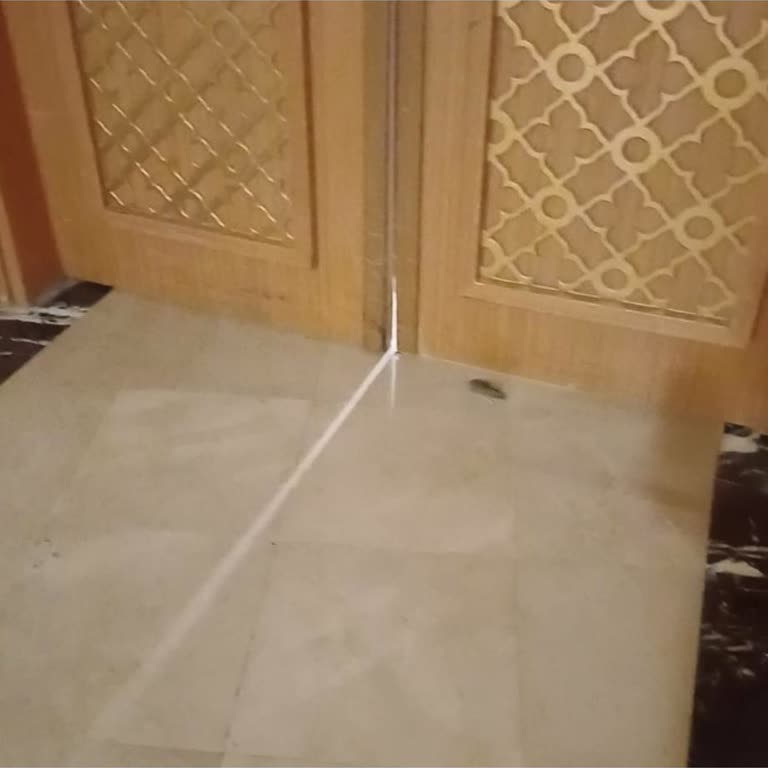Restoran Kapısında Fare Görülmesi Ve Otel Personelinin İlgisiz Cevabı