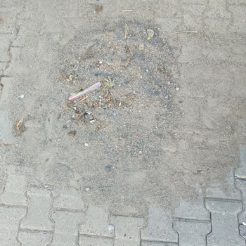 1119. Sokakta Cadde Yıkama Sonrası Kalan Kum Ve Çöp, Araç Kirli Ve Belediyeden Yanıt Yok