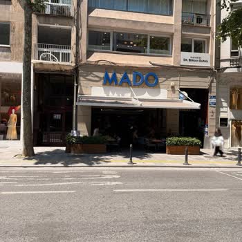 Mado Şubesinde Kahve İçinde Hamamböceği Görüldü: Hijyen Ve Sağlık Riski