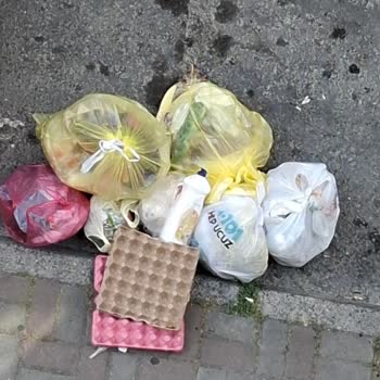 Esenler 1013. Sokakta Çöp Toplama Saatlerinde Belirgin Düzensizlik Ve Koku Sorunu