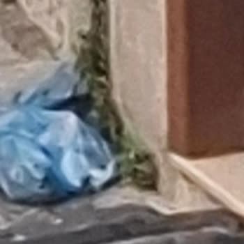 Esenler 1013. Sokakta Çöp Toplama Saatlerinde Belirgin Düzensizlik Ve Koku Sorunu