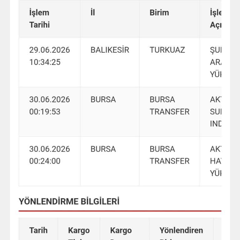 Aras Kargo Gecikmesi Ve Sorumluluk Kaçırma: Önemli Resmi Evrakın Teslim Edilmemesi