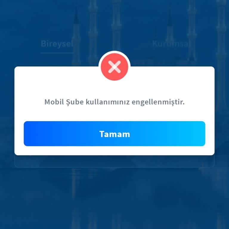 Mobil Şube Erişimimin Engellenmesi Ve Acil Çözüm Talebi