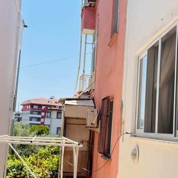 Horoz Ve Tavukların Gürültüsü Ve Çevre Kirliliği Şikayetimiz