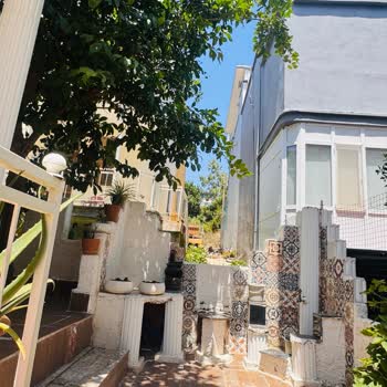 Horoz Ve Tavukların Gürültüsü Ve Çevre Kirliliği Şikayetimiz