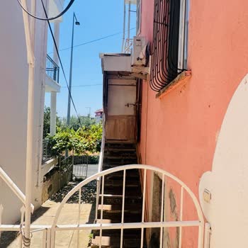 Horoz Ve Tavukların Gürültüsü Ve Çevre Kirliliği Şikayetimiz