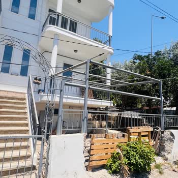 Horoz Ve Tavukların Gürültüsü Ve Çevre Kirliliği Şikayetimiz