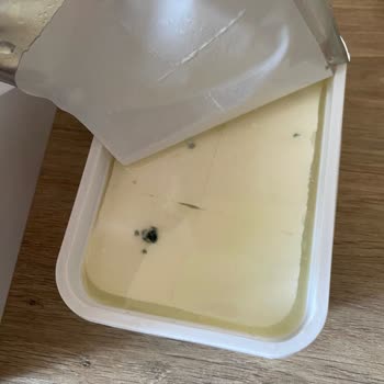 Ekici Peynir Küf Olması