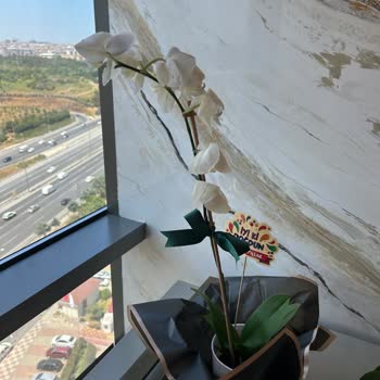 Çiçek Sepeti'nden Orkide Siparişim Solmuş Ve Dökülmüş Geldi, Tam İade Talebi