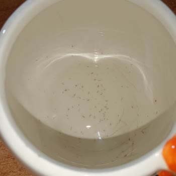 Karaca Porselen Kupamda İç Ve Dış Yüzeyde Lekeler Ve Kalite Sorunu