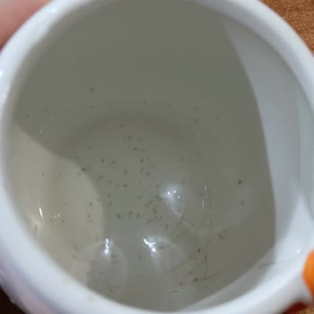 Karaca Porselen Kupamda İç Ve Dış Yüzeyde Lekeler Ve Kalite Sorunu