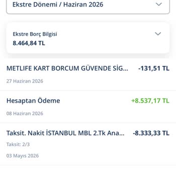 Metlife'de Tüm Poliçelerimin İptali Gerçekleşmedi, Ücretler Kesildi