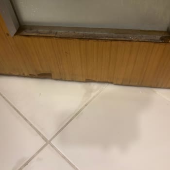 Tatilbudur Kirli Odalar, Soğuk Su Sorunu Ve Yetersiz Hizmet