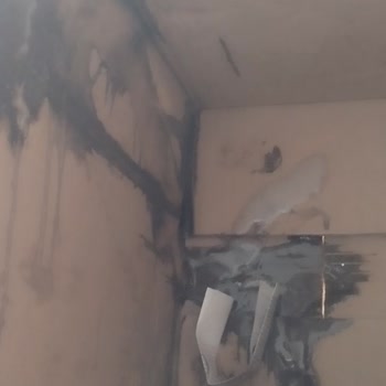 Kargo Paketi Kötü Durumda Ürünler Patlamış Ve Yeniden Gönderim Talebi