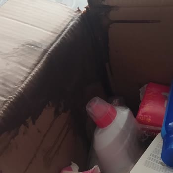 Kargo Paketi Kötü Durumda Ürünler Patlamış Ve Yeniden Gönderim Talebi