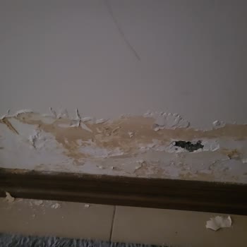 Armut’tan İade Talebime Yanıt Gelmemesi Ve Sorumluluk Almaması