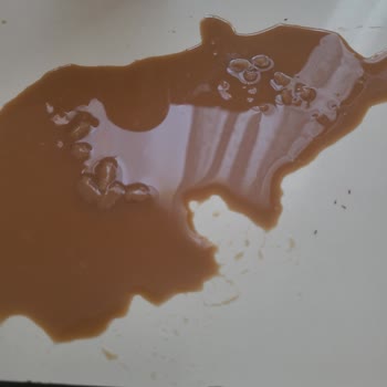Obsesso BİM'de Satılan Soğuk Latte Ürününün Sağlık Endişesi Nedeniyle Çekilmesi Gerekiyor