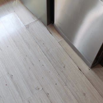 Samsung Buzdolabında Su Sızıntısı Ve Şalter Atması Sonrası Acil Servis Ve Hasar Tazmini Talebi