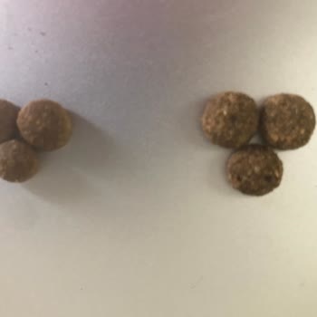 Hepsiburada’da Sahte Kedi Maması İçin İade Reddi