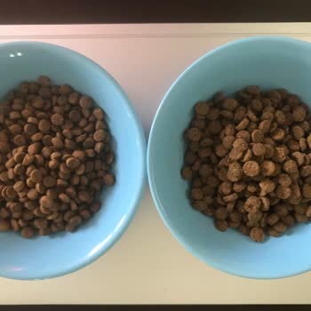 Hepsiburada’da Sahte Kedi Maması İçin İade Reddi